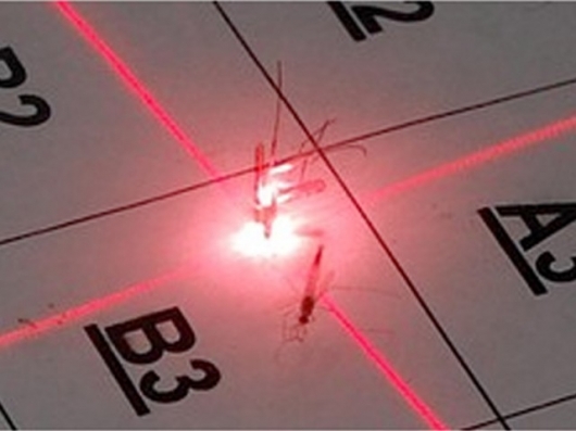 Killing Bugs Using Lasers YAG Lasers Test